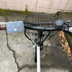 PELTECH(ペルテック) 折り畳み電動アシスト自転車