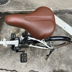 PELTECH(ペルテック) 折り畳み電動アシスト自転車