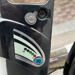 PELTECH(ペルテック) 折り畳み電動アシスト自転車