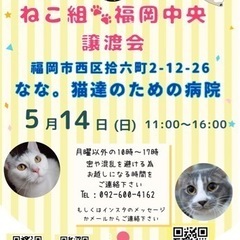 5/14 ねこ組🐾福岡中央譲渡会 なな。猫達の病院