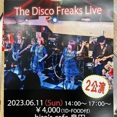 the  disco freaks  Live