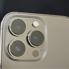 Apple iPhone 13 Pro 256GB グラファイト （国内版SIMロックフリー） MLUN3J/A