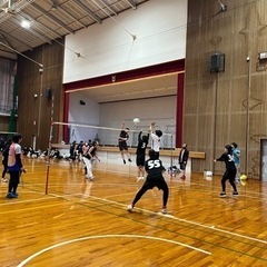 ソフトバレーボール 女子メンバー募集