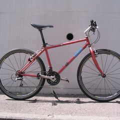 Panasonic Grand Canyon 1994年新車購入