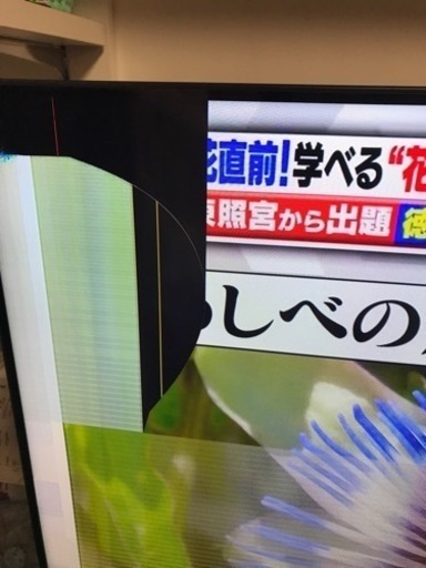 テレビ　専用