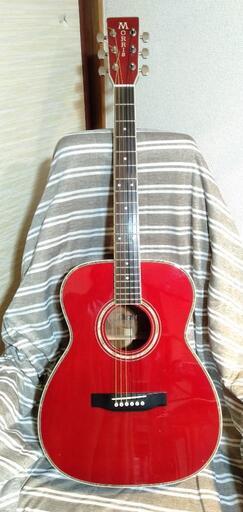 アコギ　モーリス MF-50