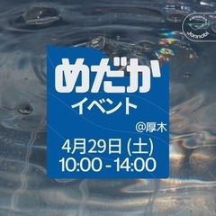 メダカ販売会　4月29日(土)