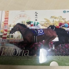 【ネット決済・配送可】札幌競馬場オリジナルエフフォーリアクリアファイル