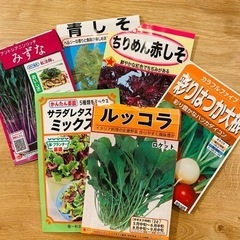 (お取引中)【家庭菜園】野菜のタネ6種