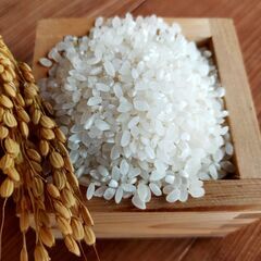 【ネット決済・配送可】自然米食べませんか？（農林22号30kg）
