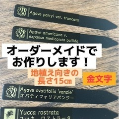 オリジナルプランツタグ作ります　10本　園芸ラベル　アガベ　