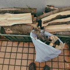 薪　松　１年乾燥物　