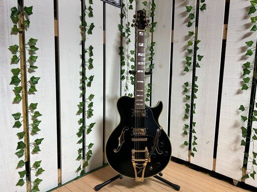 【愛品館八千代店】Greg Bennett　RL-4LTD/BK　セミアコ