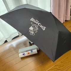 【お取引完了☑️🙇‍♀️】折りたたみ傘