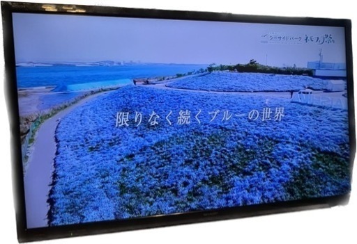 先約の方がいます。SHARP AQUOS 2T-C32AE1 32インチ 液晶テレビ　2019年製品