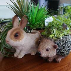 ウサギ、ハリネズミ鉢