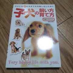 子犬の飼い方育て方