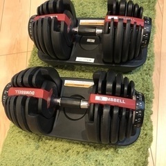 可変式ダンベル24kg (片方ジャンク品) ☆値下げ☆