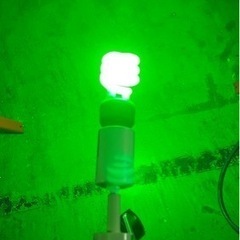 PARTY LAMP GREEN
