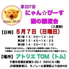 5月7日(日)🌸にゃん☆ぴーす猫の譲渡会🌸「アトリエTOM」JR...