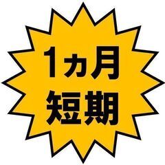 5月のみ！1カ月短期《18時～22時》お弁当仕分け★