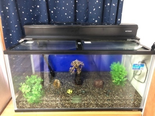 水槽90l