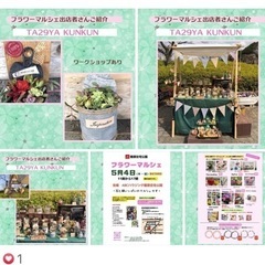 TA29YA   KUN KUN 多肉植物寄せ植えワークショップ&販売