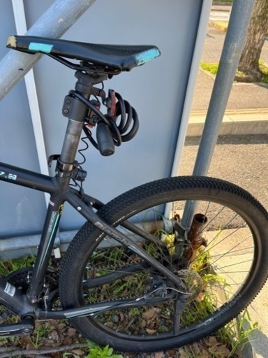Bianchi グラベルロード
