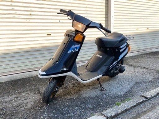 チャンプ