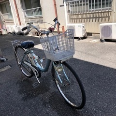 「決まりました」限定！値下げ。