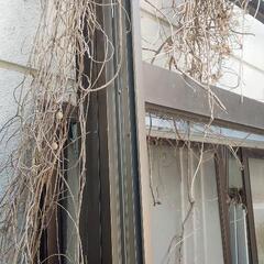 決定致しました。値下げ！します、1点が売れましたので、アルミサッシ数点まとめて引き取りして戴ける方宜しく御願いします