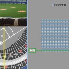 商談中】中日VS横浜プラチナシートチケット2枚