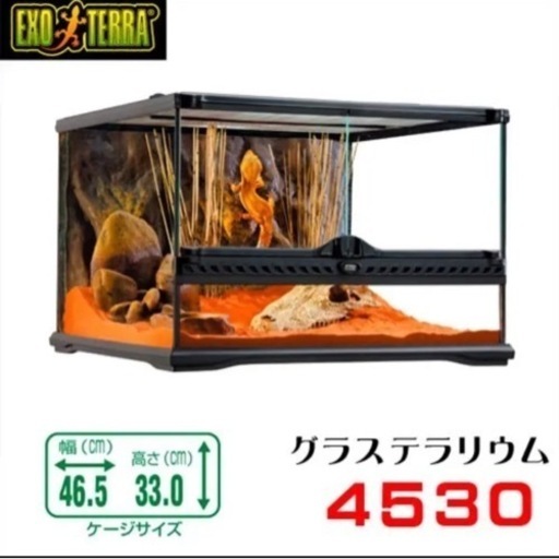 爬虫類 ケージ