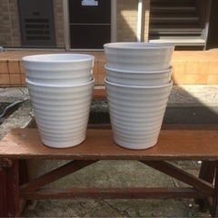 完売御礼陶器鉢8〜10号鉢　100個程度　、先着順となります。