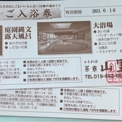 【ネット決済・配送可】愛真館　ご入浴券12枚　期限6/19