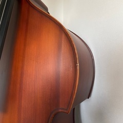 Gliga GemsⅡGamba Shape Flat Back