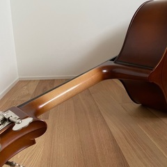 Gliga GemsⅡGamba Shape Flat Back