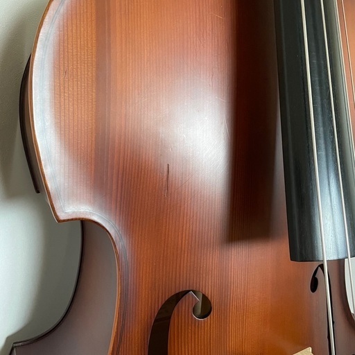 Gliga GemsⅡGamba Shape Flat 高品質 Back 