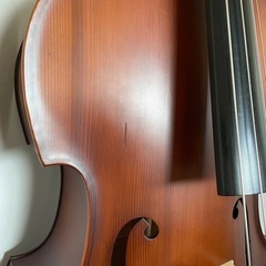 Gliga GemsⅡGamba Shape Flat Back