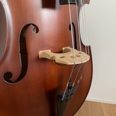 Gliga GemsⅡGamba Shape Flat Back