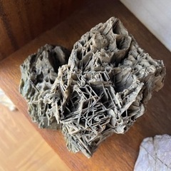 　赤石、瑪瑙、アンモナイトなど　棚付き