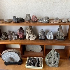 　赤石、瑪瑙、アンモナイトなど　棚付き