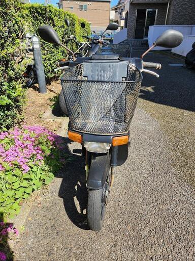 スズキ　モレット