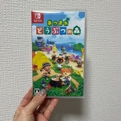 あつまれどうぶつの森 Switch