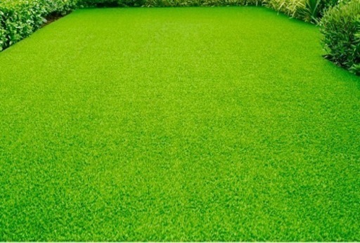 人工芝 20メートル | noonanwaste.com