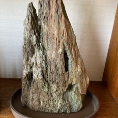 　赤石、瑪瑙、アンモナイトなど　棚付き