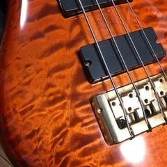 ベースギターSPECTOR Euro 4LXTW