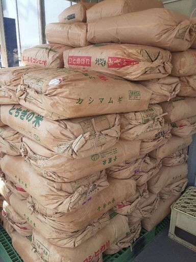 米ぬか　50袋　750kg　小美玉市渡し