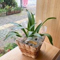 2023/04/28（金）89 Yさん納品✨ - 沖縄市