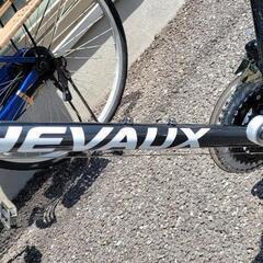 キャンセルのため 限定価格20000円‼️定価約6万